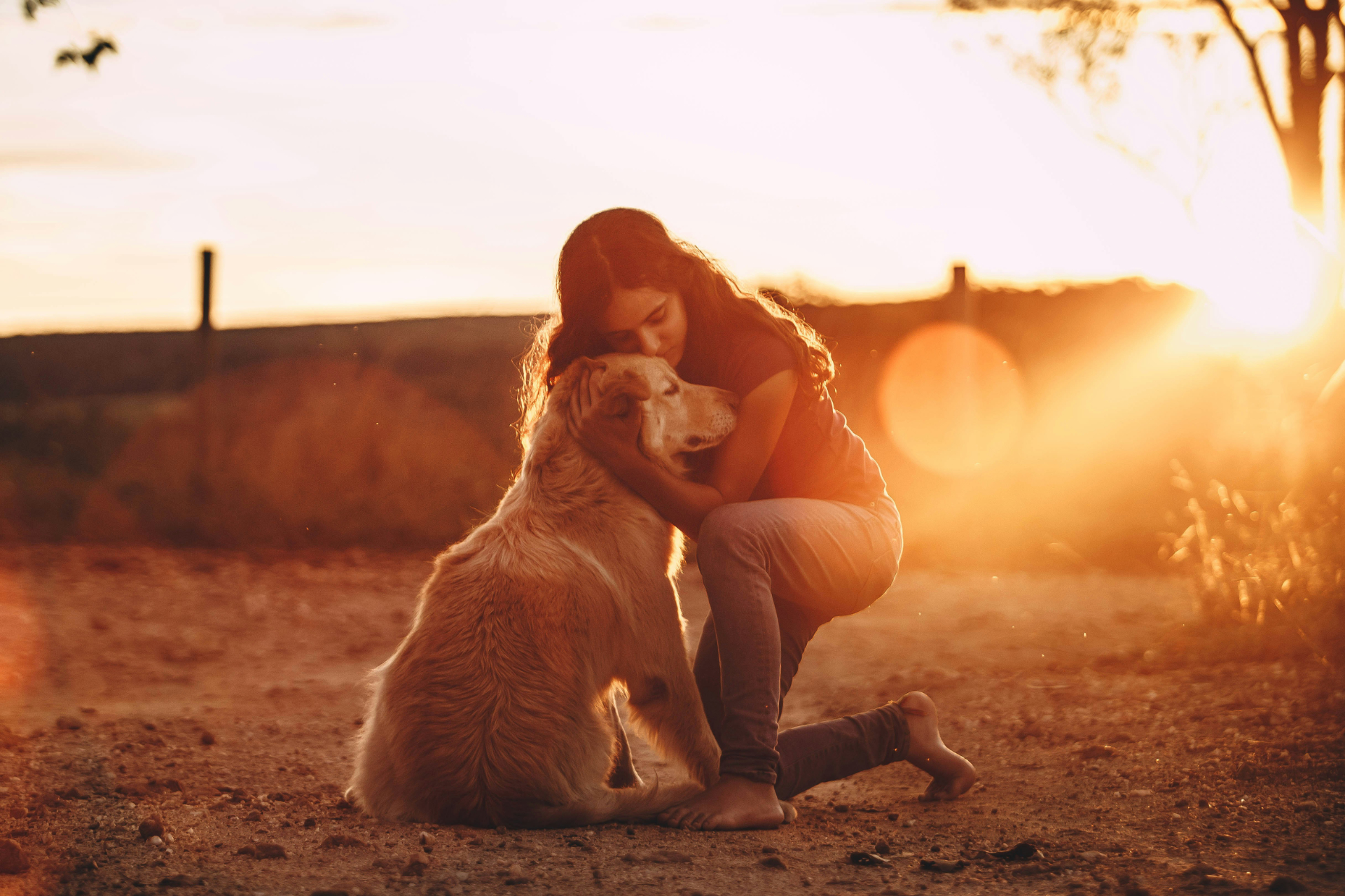 Dog-Lab-Hugging-Loving-Owner